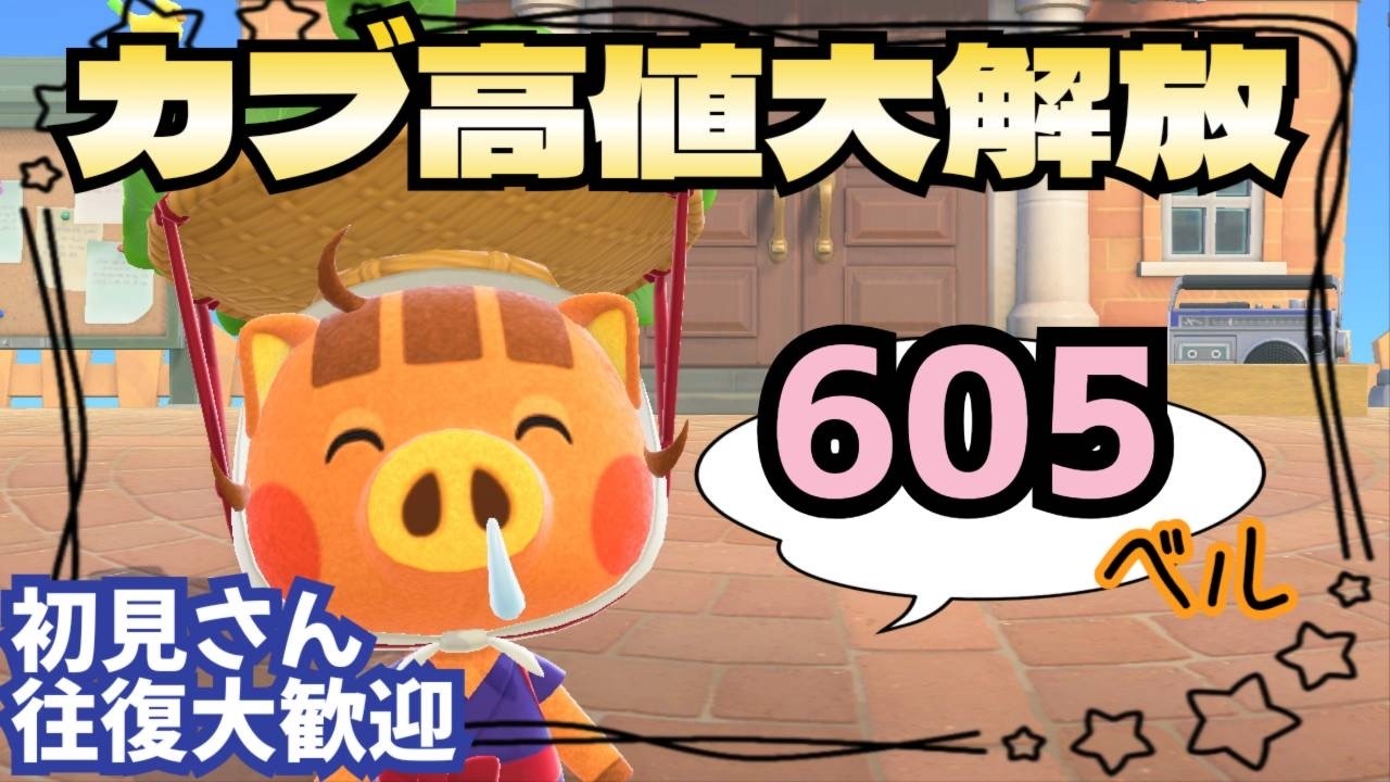 【あつ森実況】カブ価最大605ベル！！！参加型！【初見さん歓迎！】