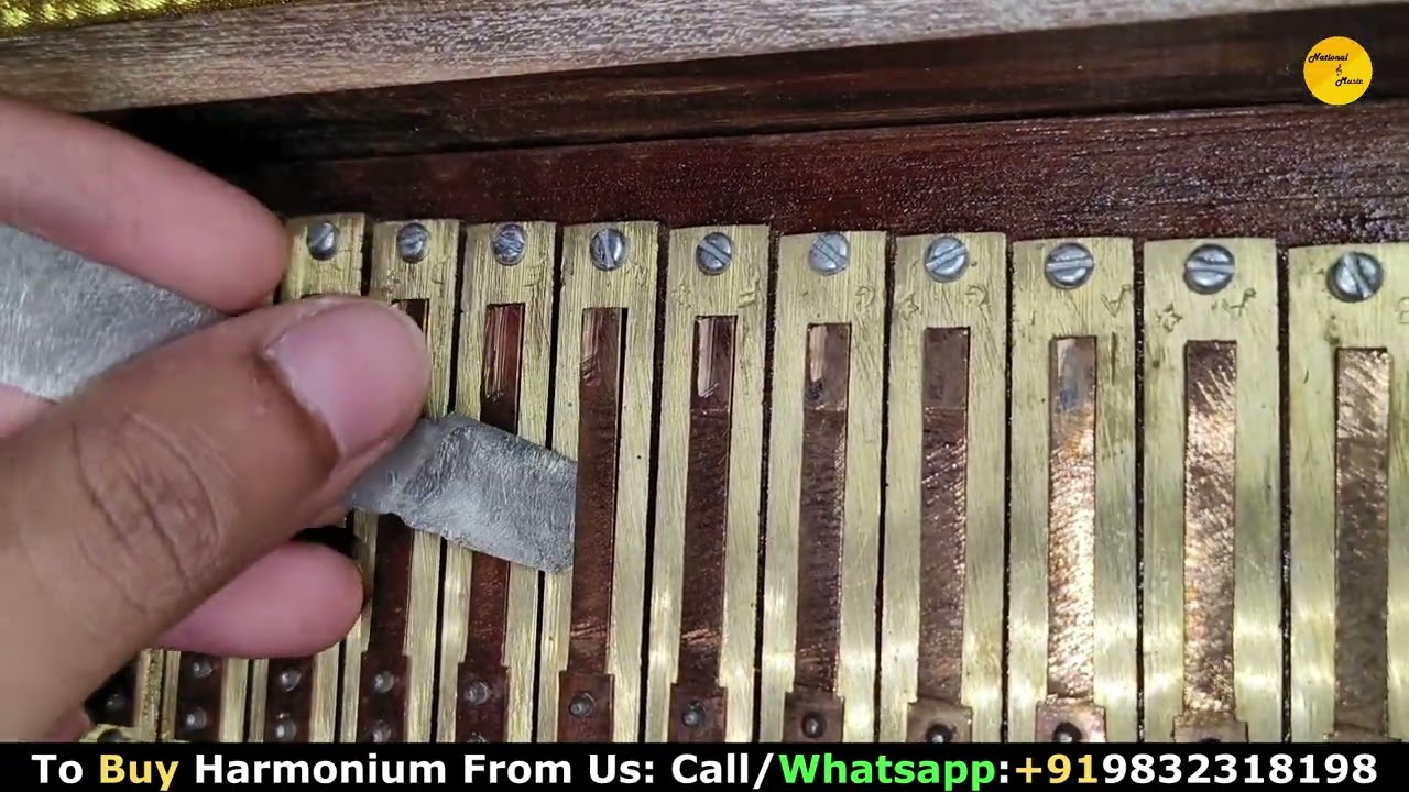 How To Fix Buzzing Problem In Harmonium At Home | Easiest way to fix harmonium buzzing issue