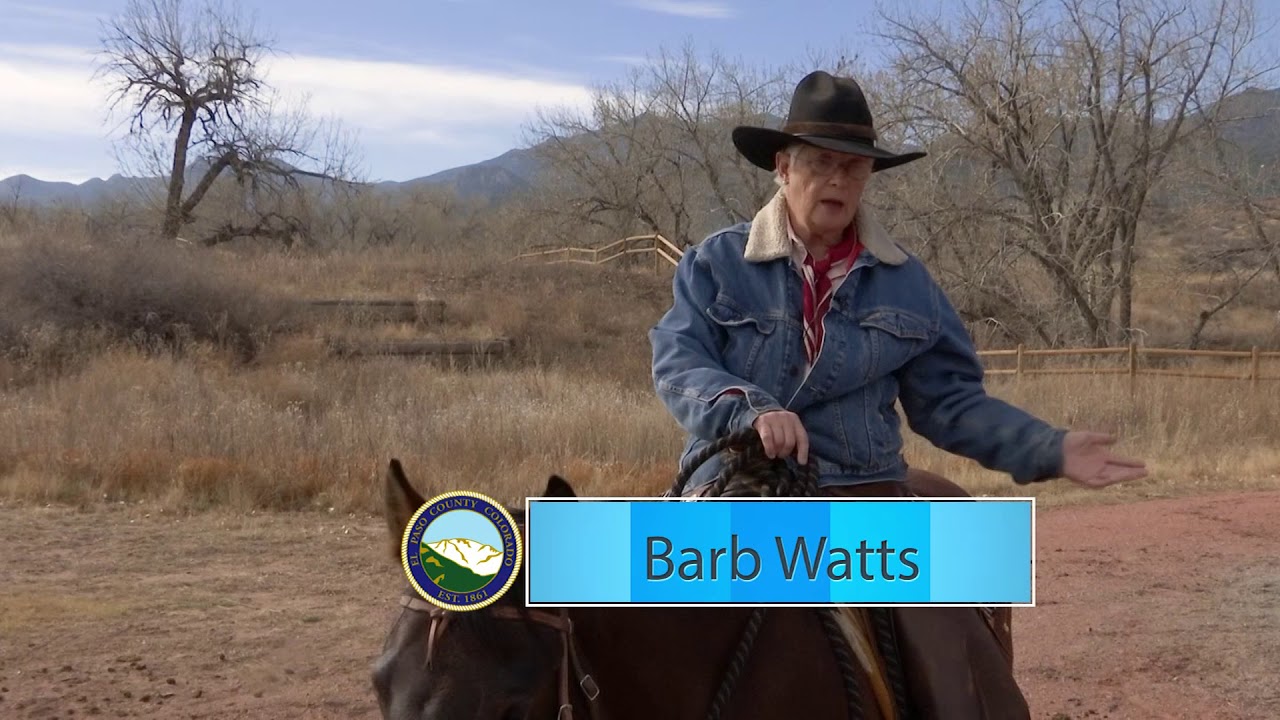 Equestrian Skills Course at Bear Creek Park