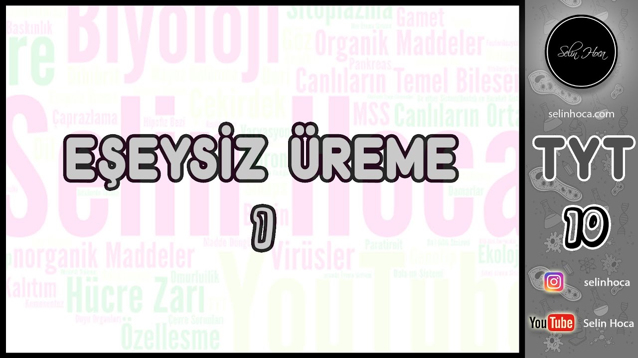 5) Eşeysiz Üreme 1