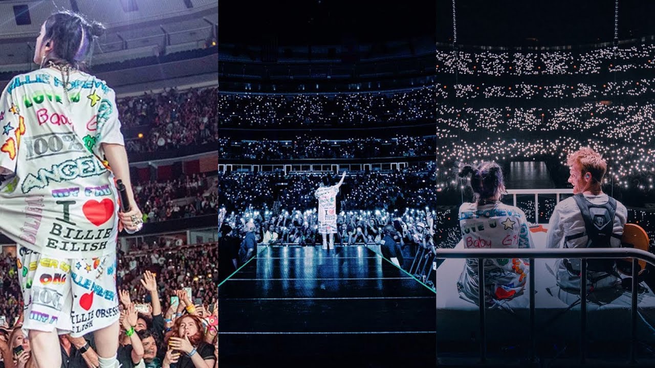Billie Eilish crowd control and crazy show moments /Bilstrueloving