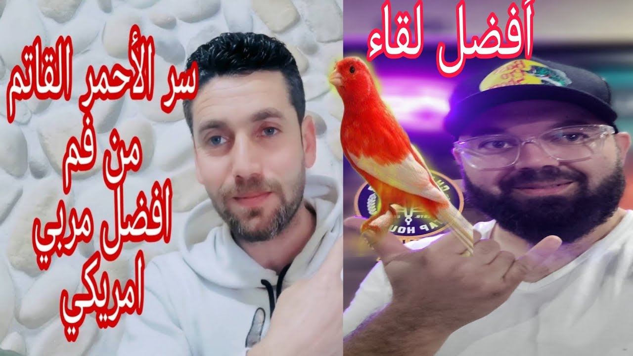 لقاء مع المحترف الأمريكي داني وكشف أسرار الأحمر القاتم وطريقة الصبغة الاحترافية (ريد فاكتر)