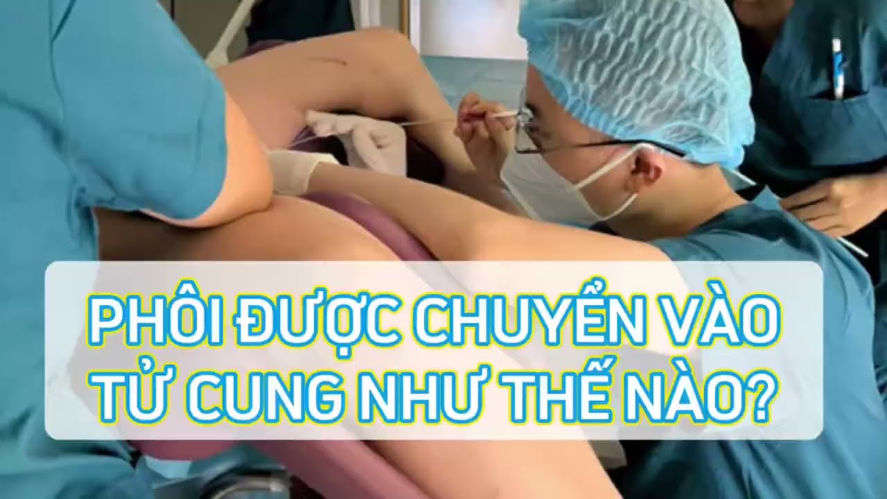 #64 Phôi được chuyển vào tử cung như thế nào? Cận cảnh bác sĩ chuyển phôi vào tử cung mẹ