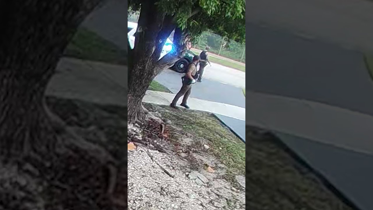 Surveillance video shows police swarming Perez Hilton's home after disturbing livestream #shorts