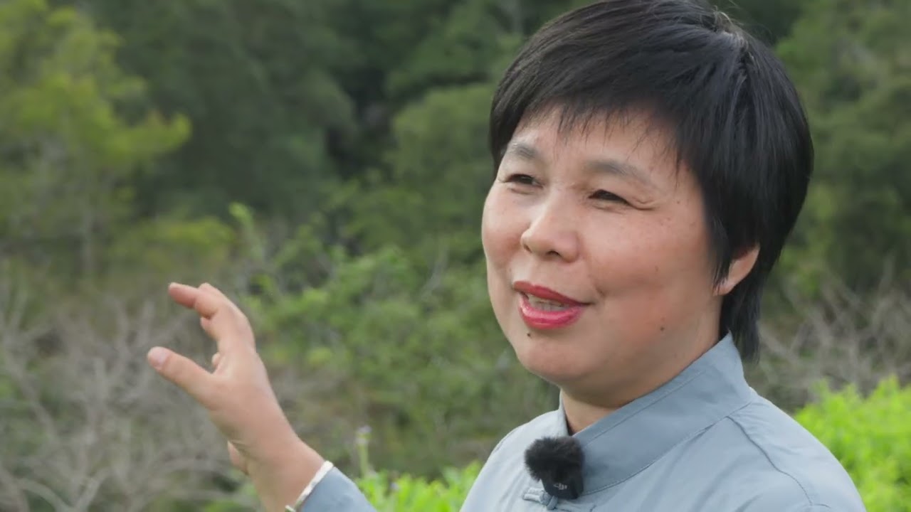 Interview with Zeng Puyu - The Only Female Intangible Heritage Producer Of Zhangping Shui Xian