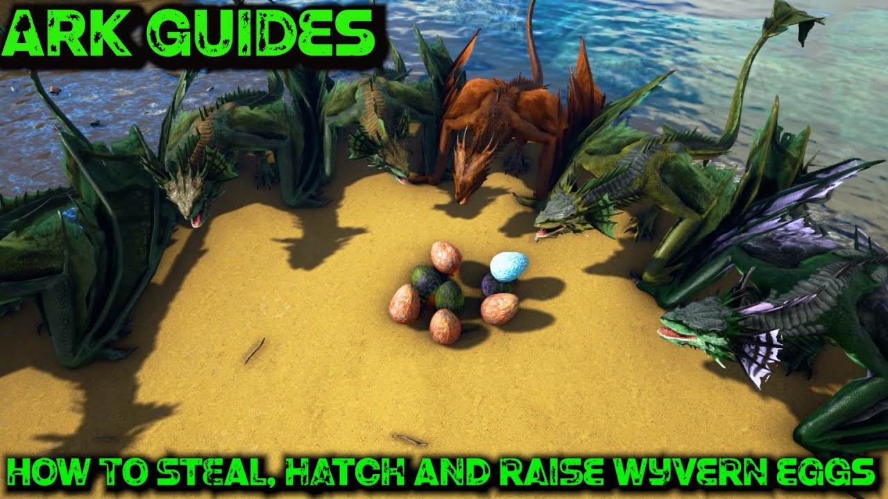 Полное руководство по краже яиц виверны, а также по их вылуплению и выращиванию — Ark Guides