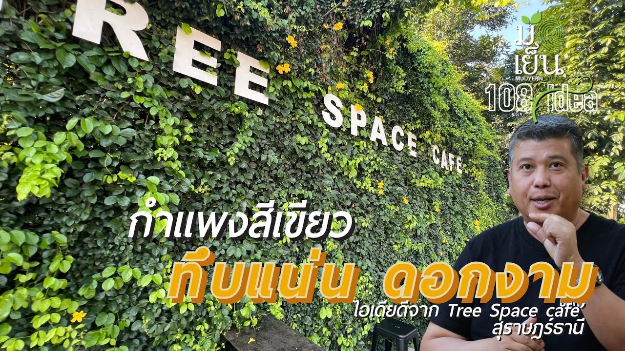 กำแพงสีเขียวทึบแน่น ดอกงาม ด้วยเหลืองชัชวาลย์ ไอเดียดีจาก Tree Space Cafe I มือเย็น 108 พันไอเดีย