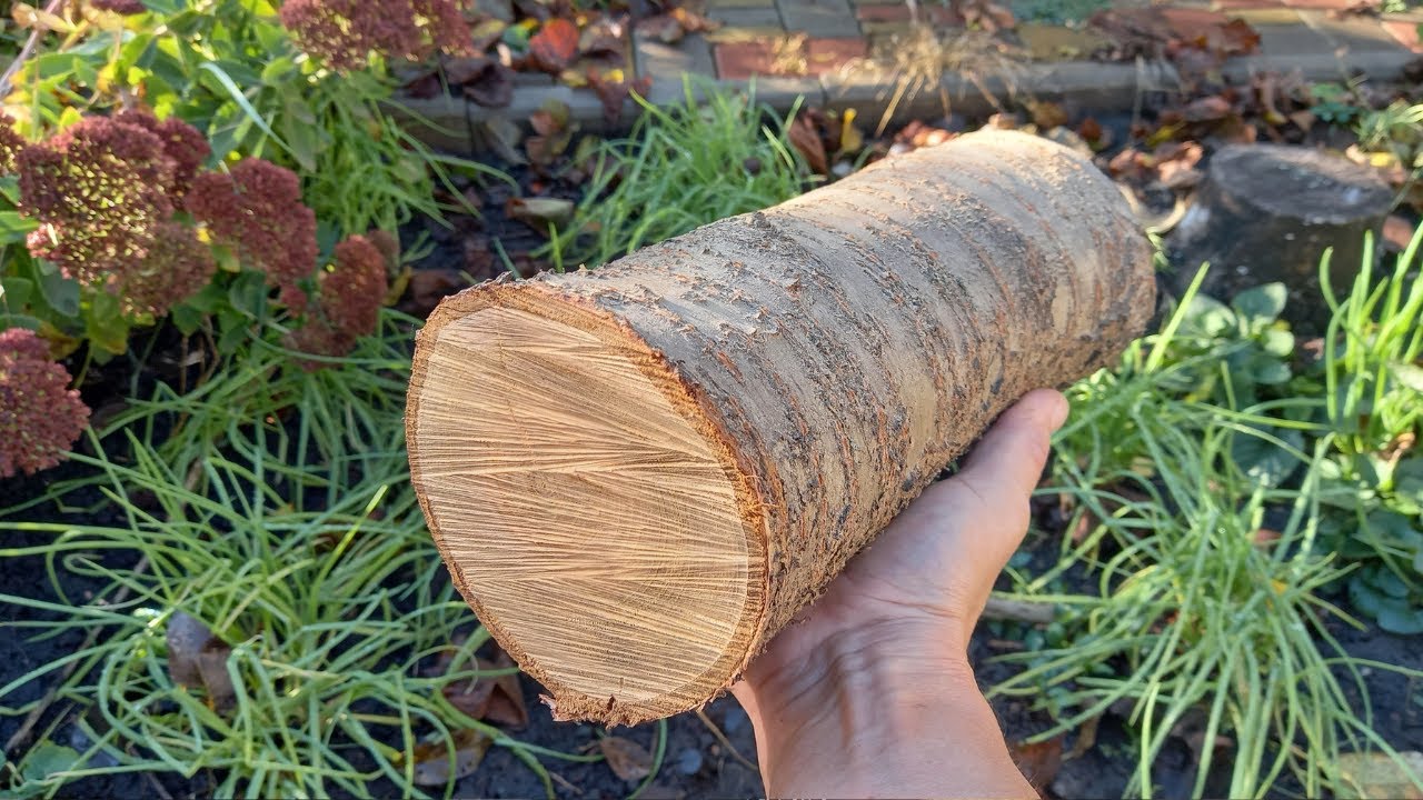 Деревянная Бочка из Вишни своими руками | Вишневая Бочка DIY | Как сделать бочку из дерева