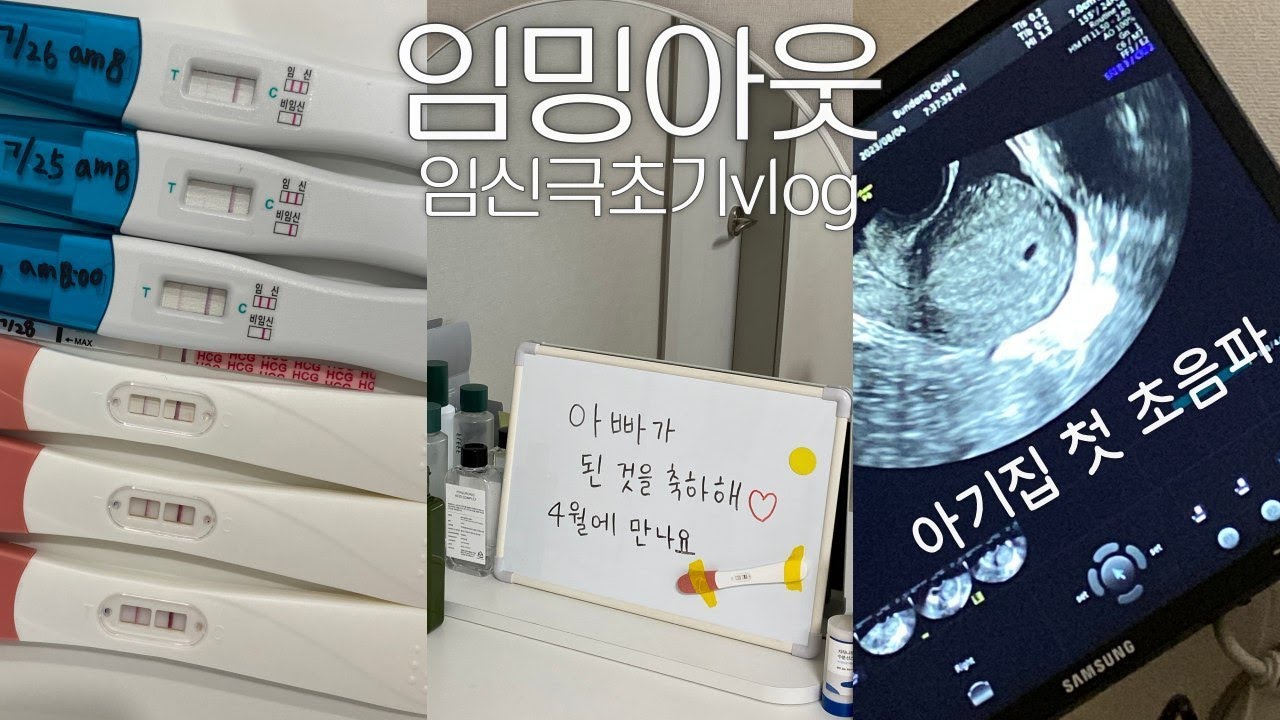 임신확인🤰🏻 | 남편, 여동생, 부모님 임밍아웃 🎉 • 아기집 초음파 • 나도 이제 임산부 • 임신극초기 증상 • 임밍아웃 브이로그 • 임신5주차 🐥