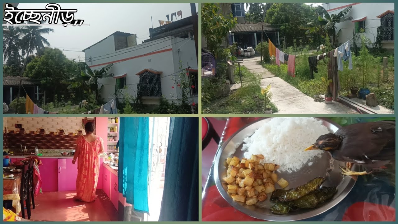 আজ বিয়েবাড়ির সাদে ডাল রান্না করে খেলাম দারুন  #newpost  #bengolividio 