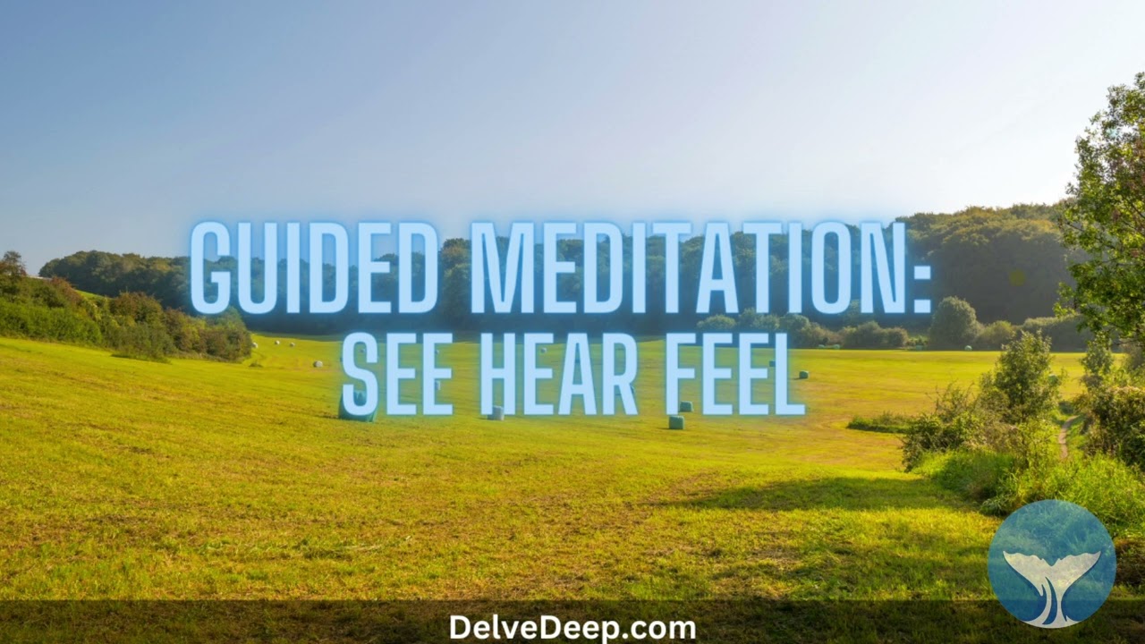 Guided Mindfulness Meditation: See Hear Feel