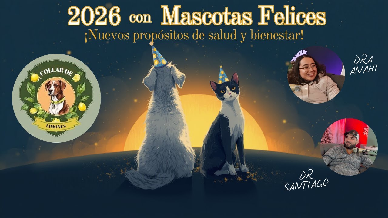 ¡ADIÓS 2025, HOLA 2026! ESPECIAL DE FIN DE AÑO PARA MASCOTAS | Collar de Limones
