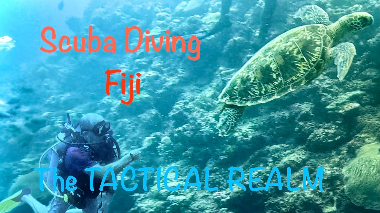 Scuba Diving Fiji Momi Bay