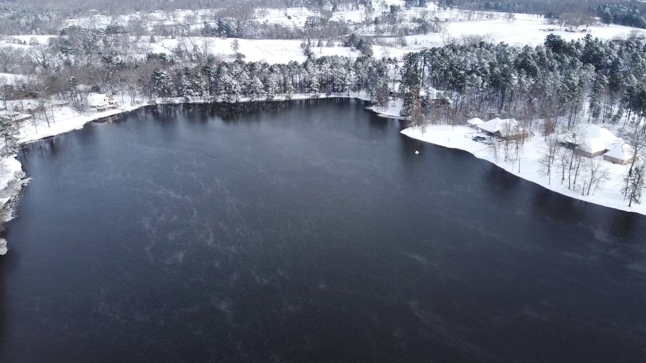 Forest Lake Snow
