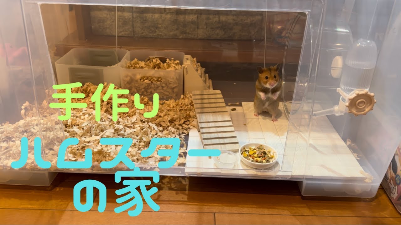 【ハムスター】IKEAの衣装ケースでハムスターの家を作ってみると