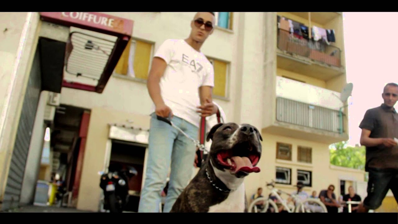 Clip Officiel FALKIR 