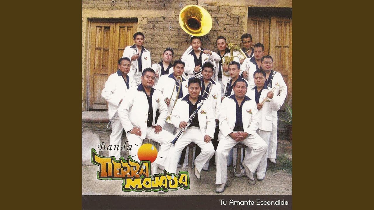 Mi Fantasía