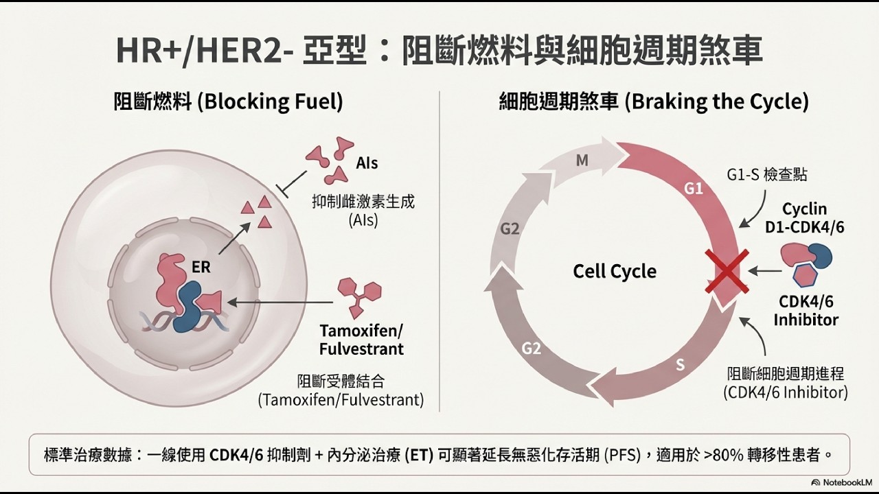 乳癌分子分型及藥物，先懂分型，新增 HER2 低表達，ADC 藥物成患者新希望？破解抗藥性！對付癌細胞繞道求生策略，三陰性乳癌新希望？揭開合成致死與新型標靶藥物。