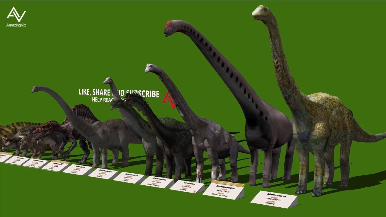 Dinosaur Size Comparison 3D - Smallest to Biggest