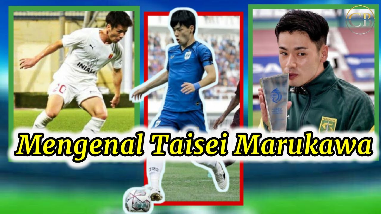 Taisei Marukawa, Profil pemain dan Perjalanan karir