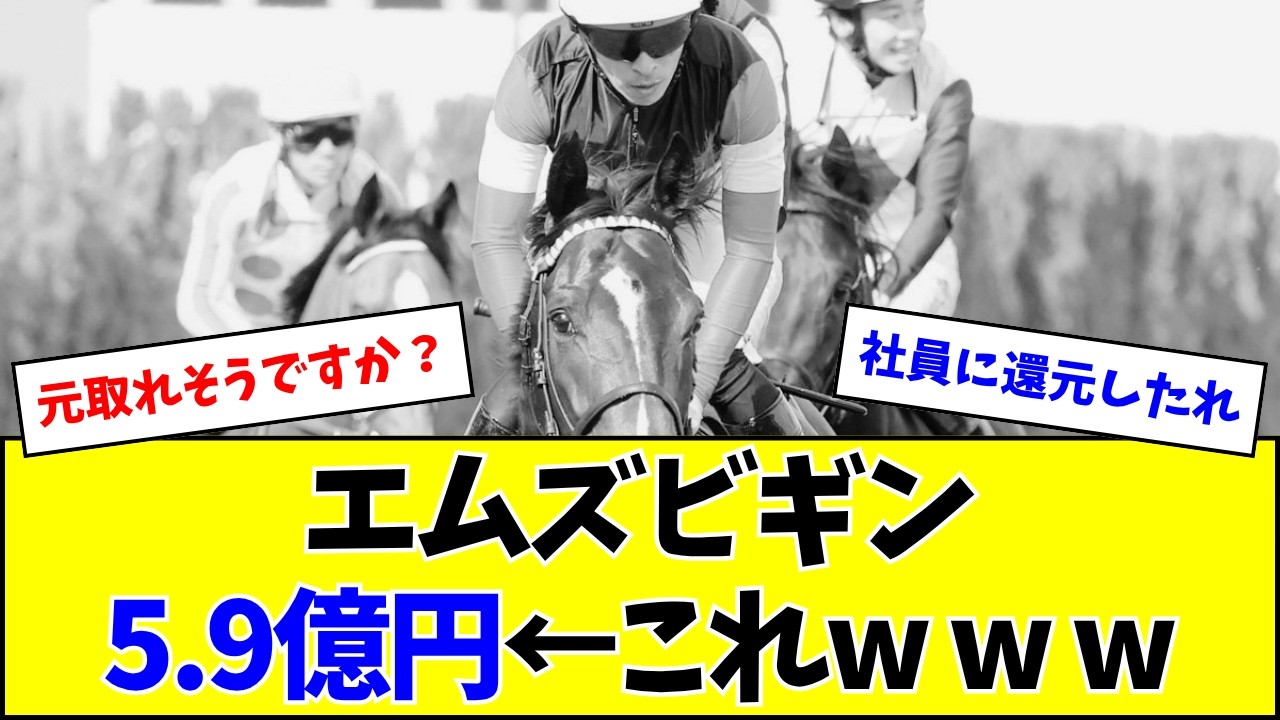 【悲報】エムズビギン（正社員約100人分）、まだビギンしない...