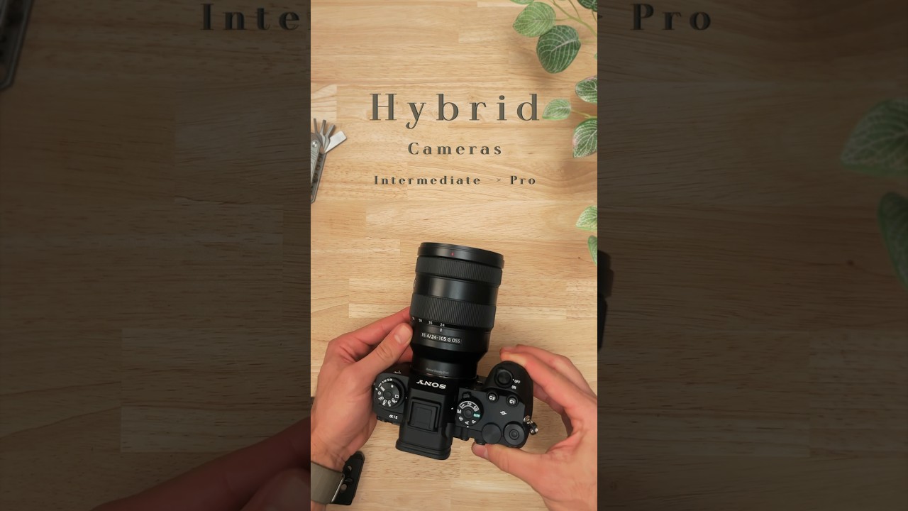 3 Levels of Sony Hybrid Cameras 📸/🎥