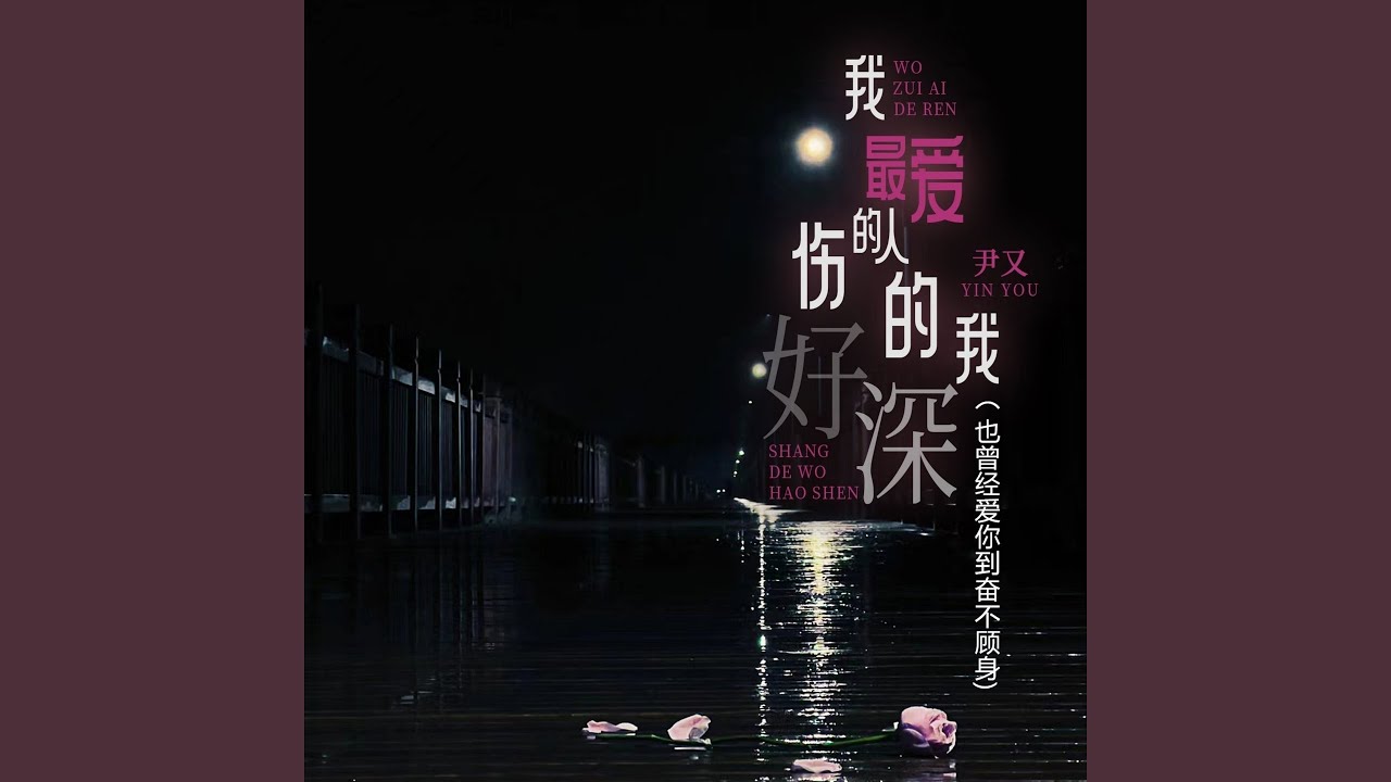 我最爱的人伤的我好深 (也曾经爱你到奋不顾身)
