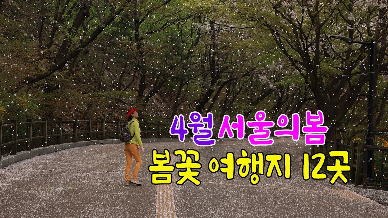대중교통으로 즐기는 3,4월 서울 봄꽃 여행지 12곳#서울봄여행지 #서울홍매화 #서울개나리