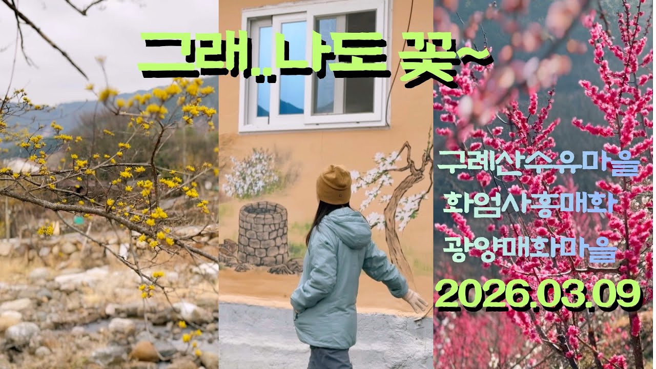 아직은 폭설시즌,봄 을 만나러 구례에 왔어요~/봄이오나봄/구례산수유마을-화엄사-광양매화마을/함께한여행