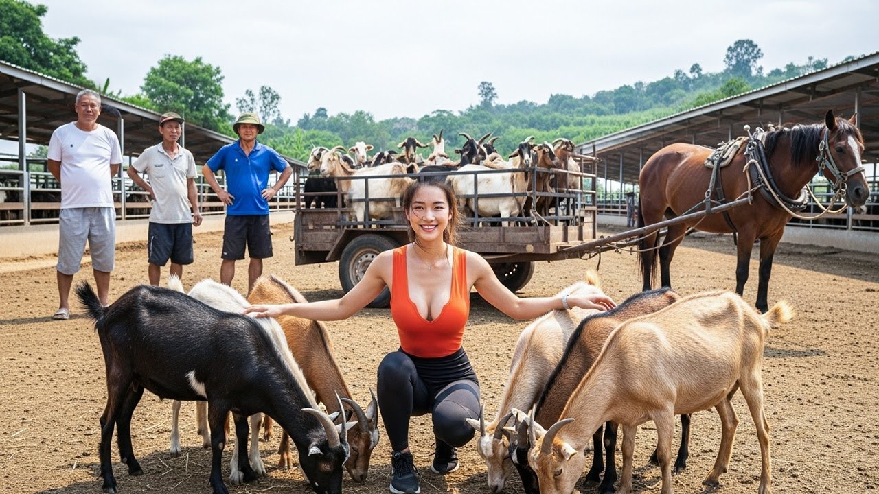 TIMELAPSE: Buying Big Goats in Bulk, Loading Up and Going to Market to Sell