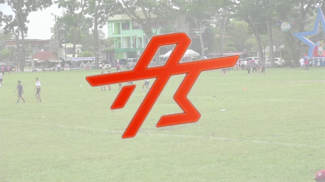 Ultimate Frisbeecation