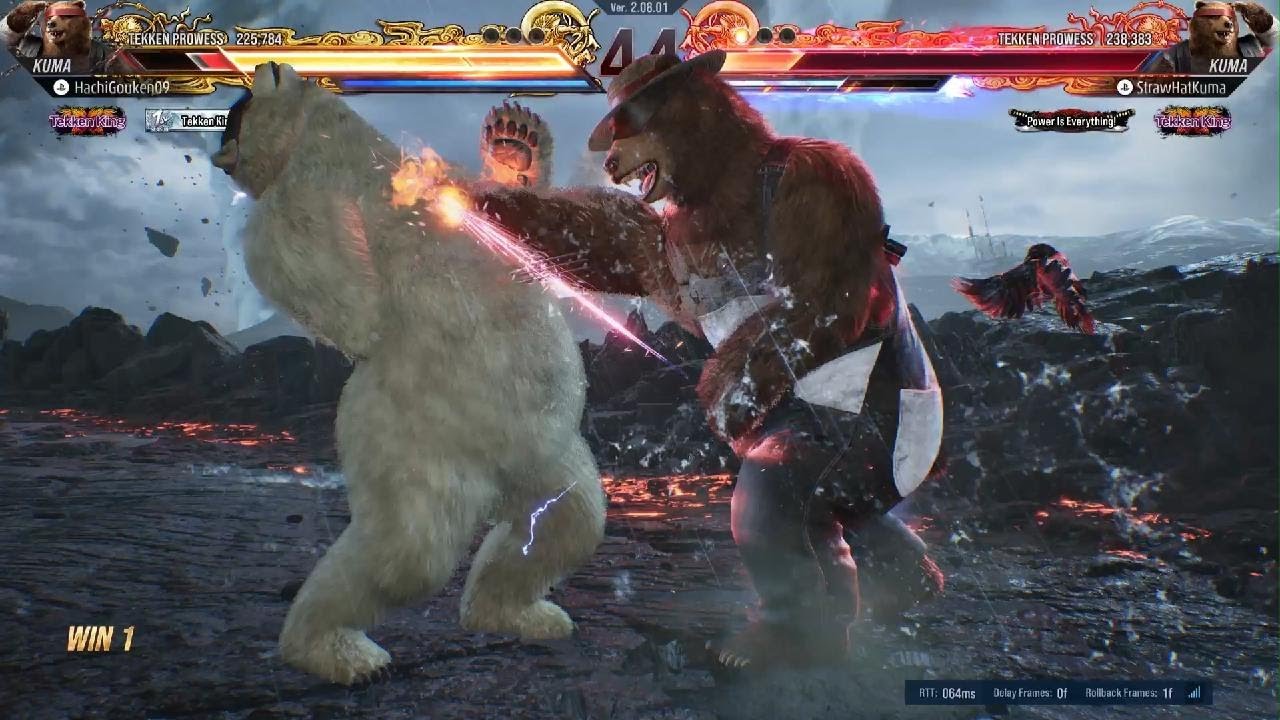 Kuma vs Kuma bear battle 2