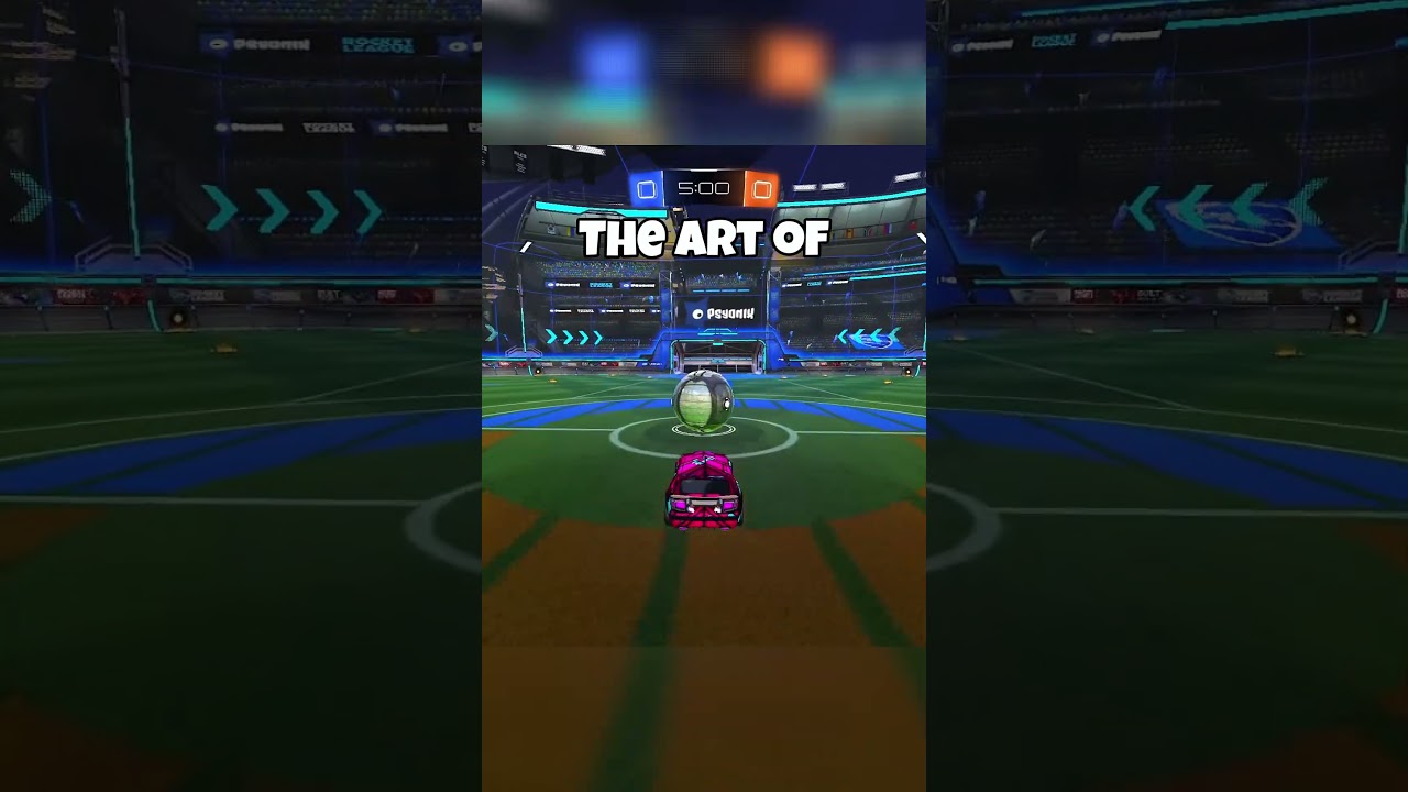 The Art Of Open Nets
