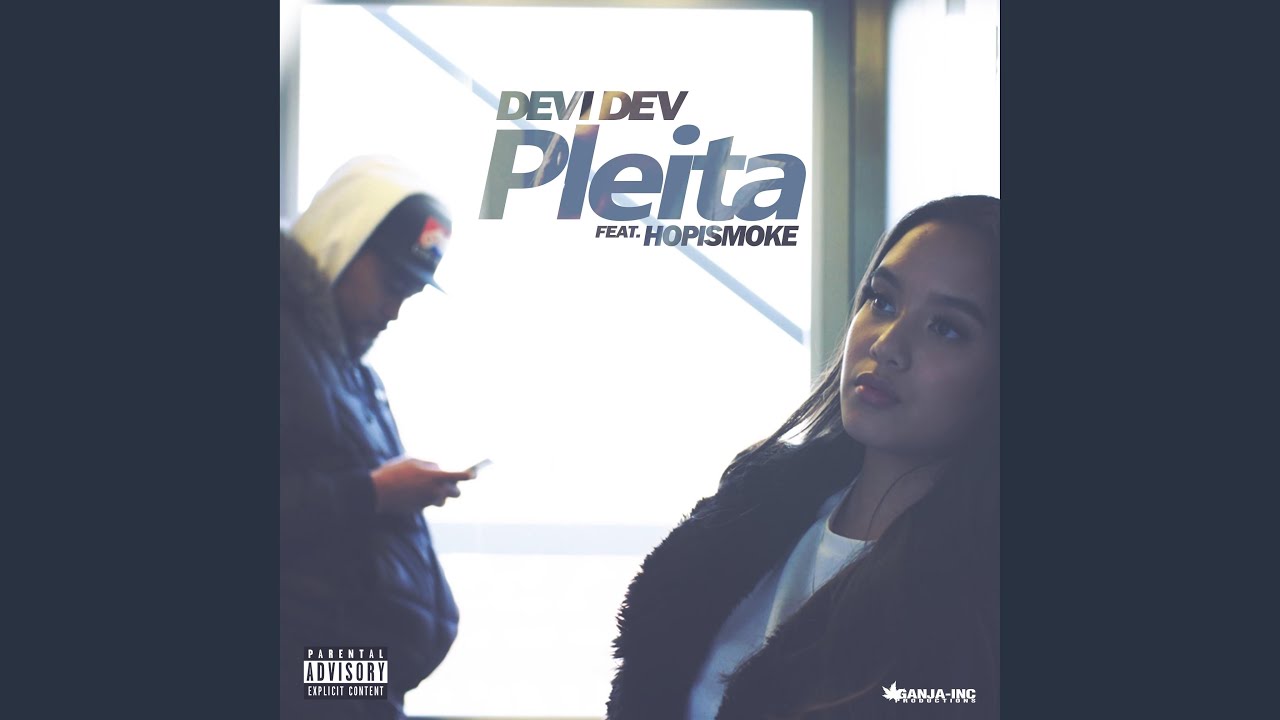 Pleita (feat. Hopismoke)