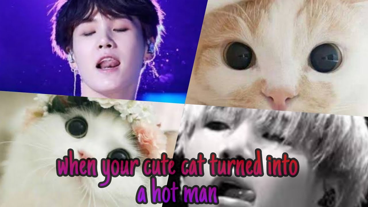 when your cute cat turned into a hot man - yoongi oneshot ( 100 +subs special💜 )