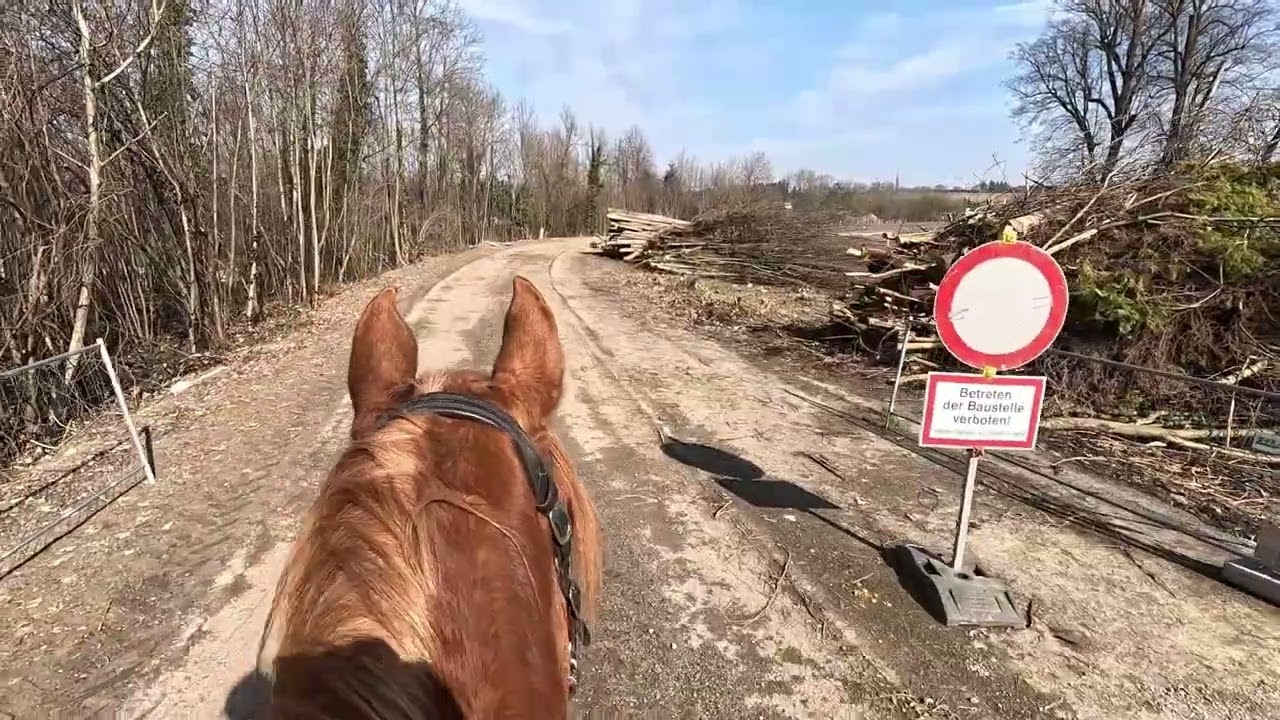 Renaturierung der Pielach