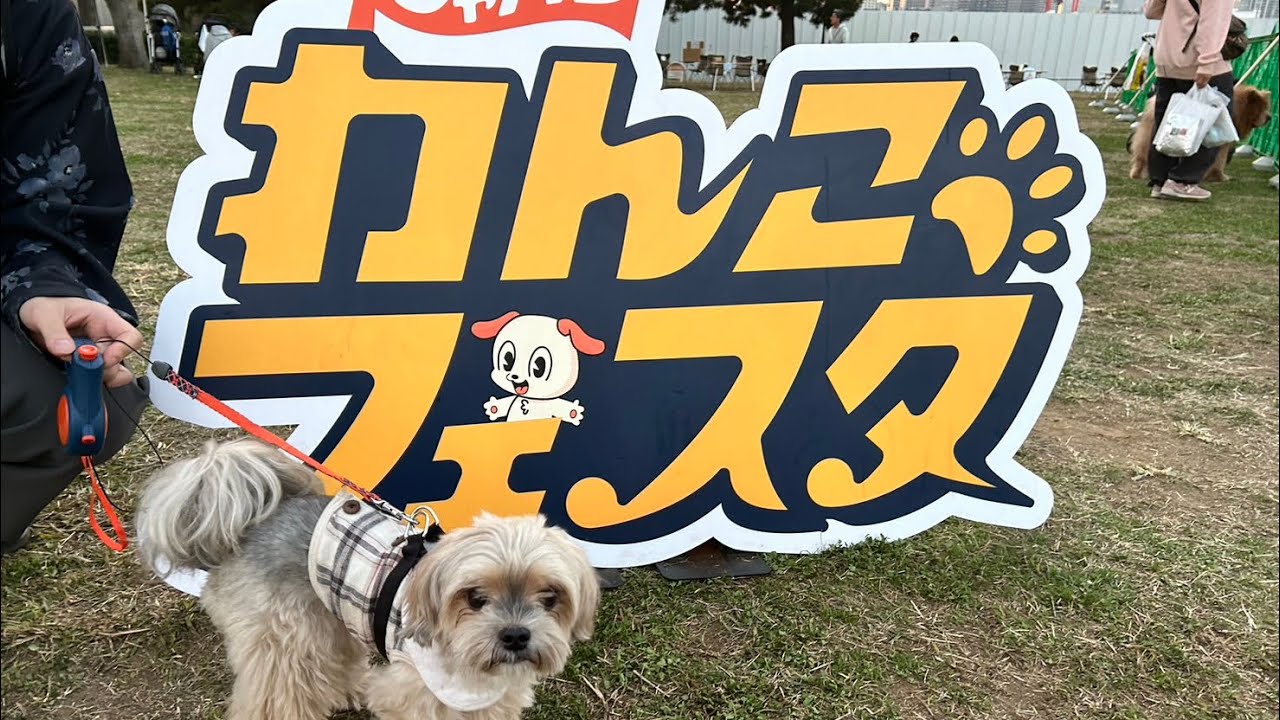 【vlog】ジャパンわんこフェスタ2025｜週末お散歩日記🐾 キッチンカー＆お買い物満喫！