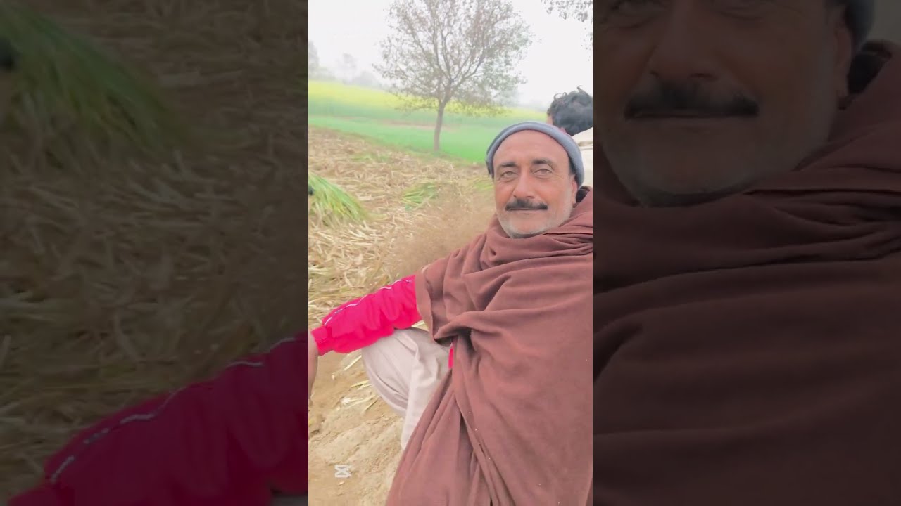 Kamad ki fasal bohat Achi hoi ha | sugarcane farming in Punjab | Chacha pind ala