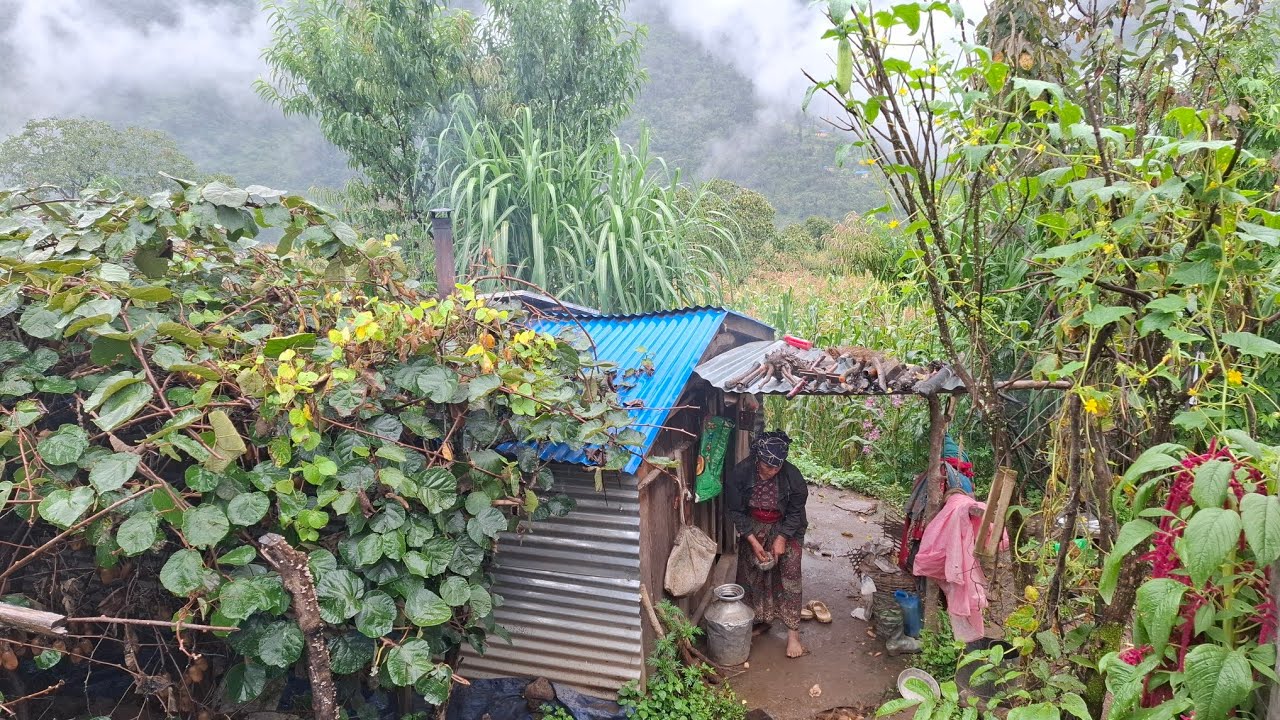 Himalayan Nepali Mountain Village Life During Heavy Rain | Rainy Season Documentary Video  