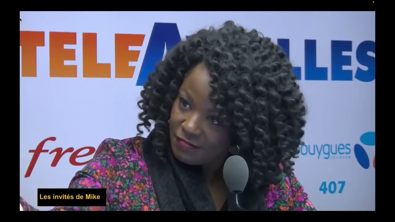 2/3 Présentation du contenu de la Proposition de loi Vie chère - Béatrice BELLAY sur Télé Antilles