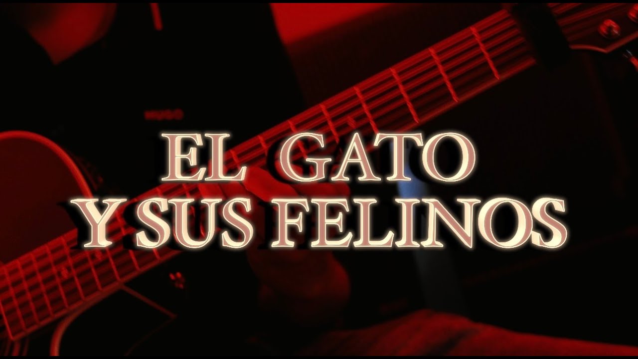 EL GATO Y SUS FELINOS -  MANUEL ROJO (LOS DEL PATIO)