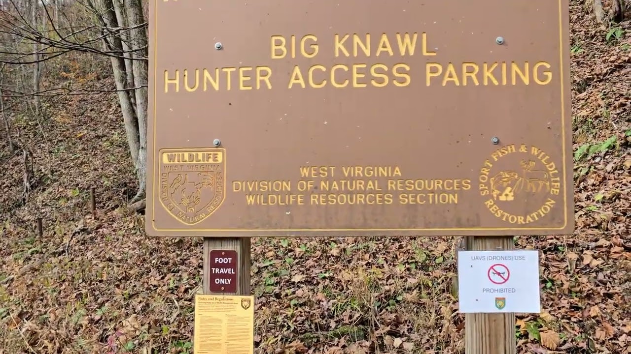Hunting in Braxton County in west Virginia 