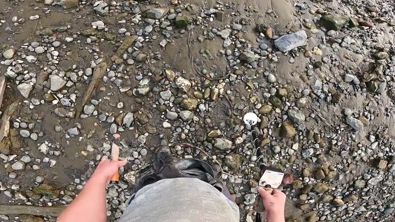 How I Identify Hot Rocks On Tesoro Metal Detectors