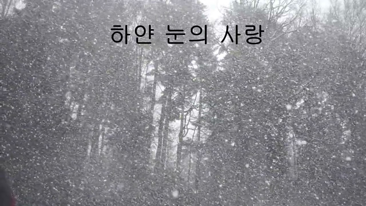 [AI 음악] 하얀 눈의 사랑, 