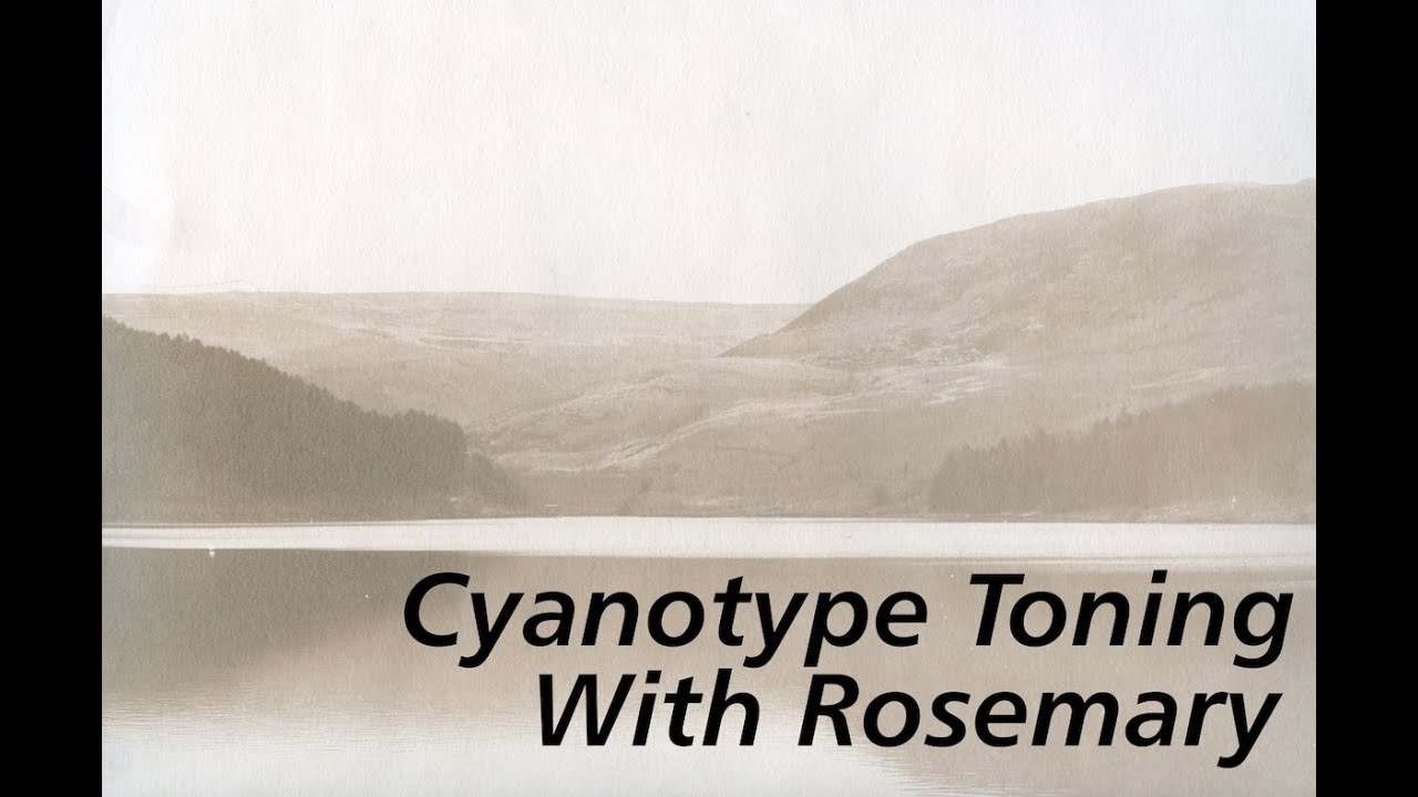 #DIY Toning Cyanotypes With Rosemary