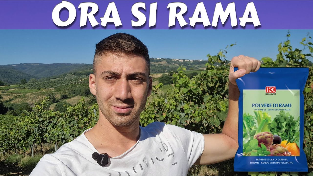 Conosci davvero il RAME?
