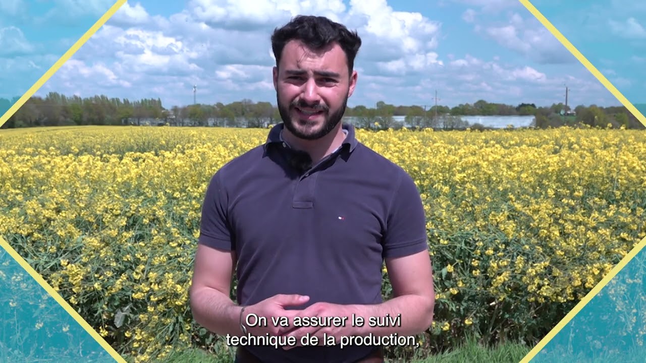 Technicien en production semences : un métier essentiel à l'agriculture