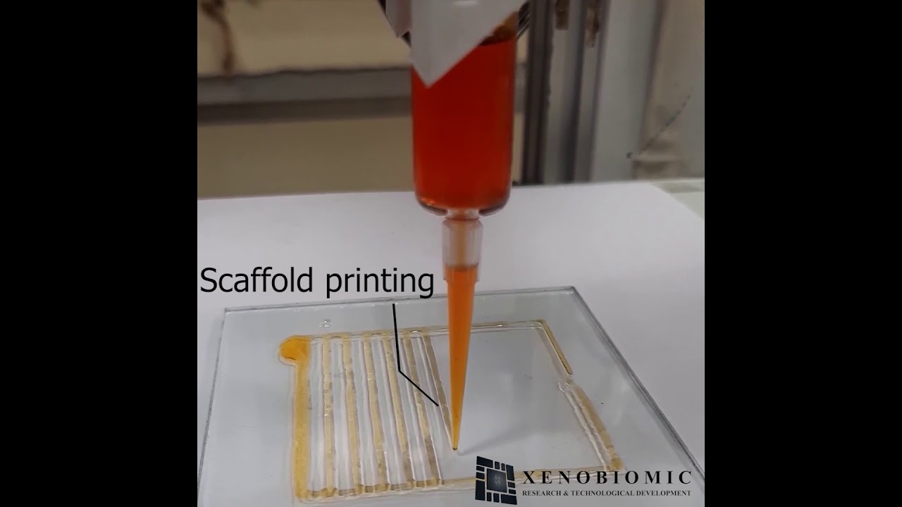 3D Bioprinting of Alginate based hydrogel