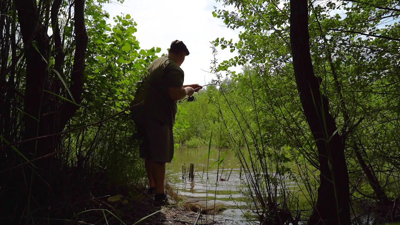 Nash Dwarf 6ft 2lb with bread bomb grasscarp