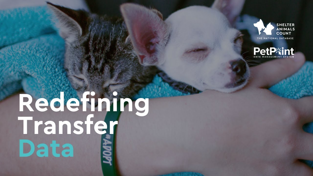 Redefining Transfer Data for Animal Welfare | Shelter Animals Count with 24Pet/PetPoint